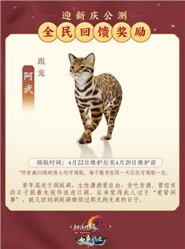 天龙八部单职业迷失私服